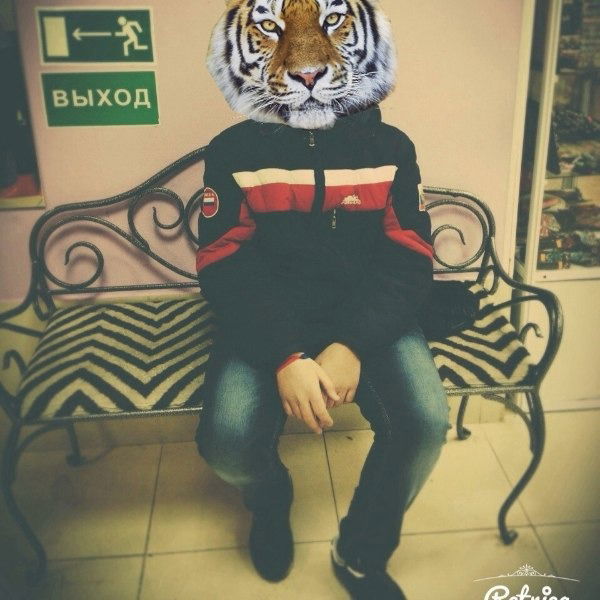 Свежий Тигр