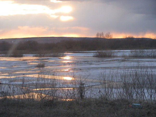 Наталья Павлова