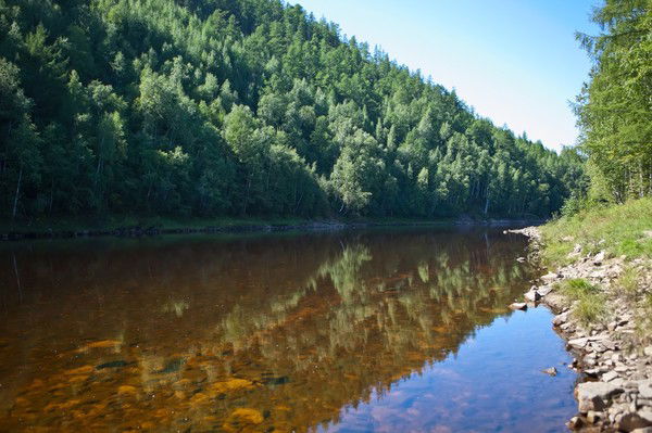 Алексей Ульянов