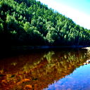 Алексей Ульянов