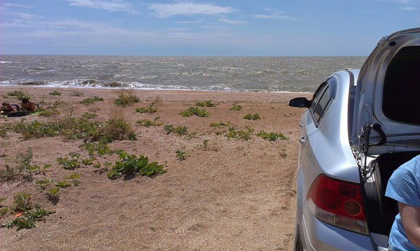 Андреи Горелов