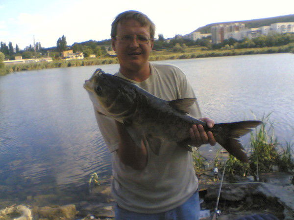 Алексей Куприенко