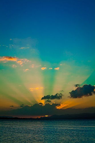 Сапина Окасова