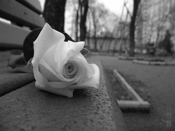 Юлия Мирошникова