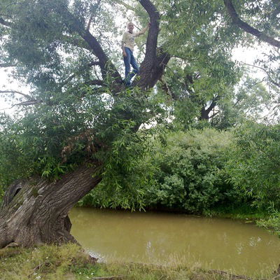 Саша Афанасьев