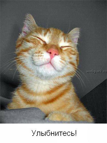 Николай Мозырец