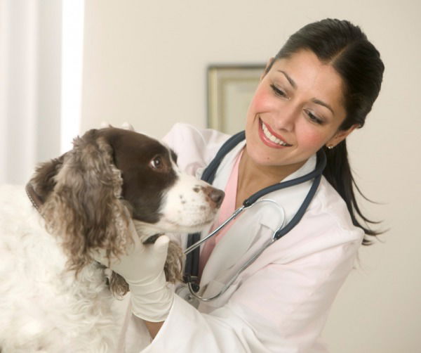 Ветеринарная Станция Ветеринарная Станци