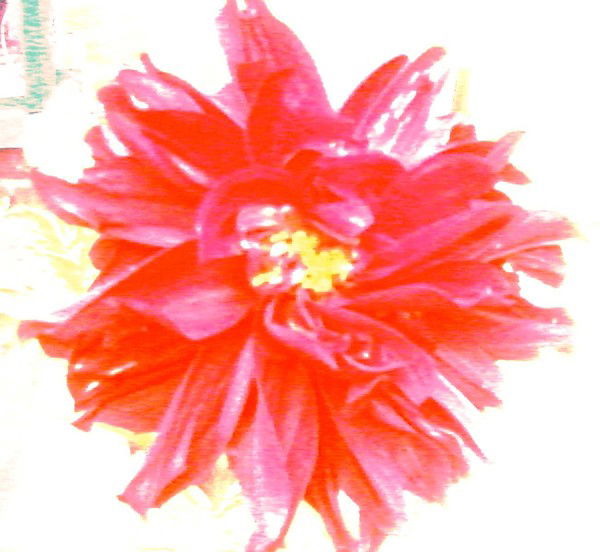 Ирина Жукова