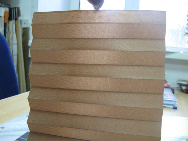 Дмитрий Пугин