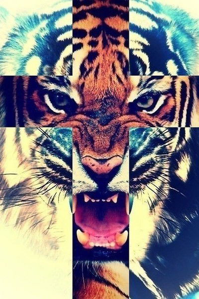 Ваня Токарський