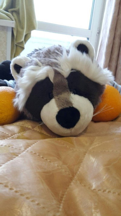 Катя Зыкова