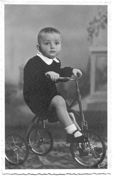 Владимир Володько