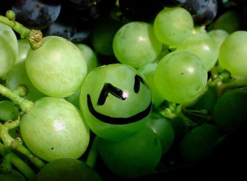 Аграфена Лескова