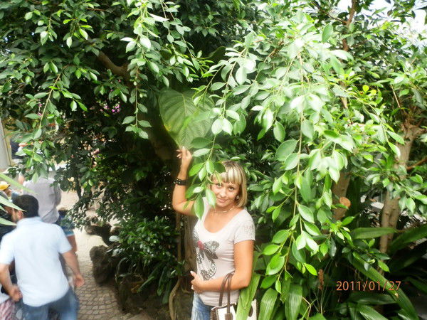 Светлана Неварова