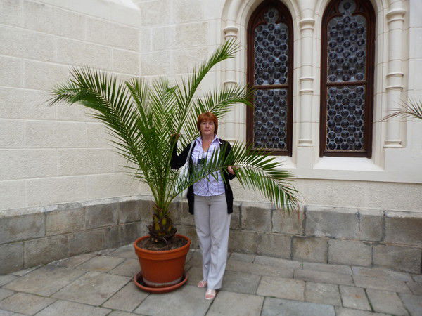 Ирина Ионина