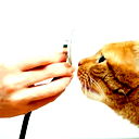 Клементина Неизвестная