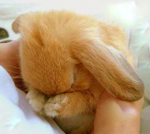 Марина Дозморова