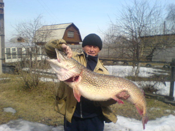 Александр Титов