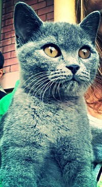 Дарья Добрынина