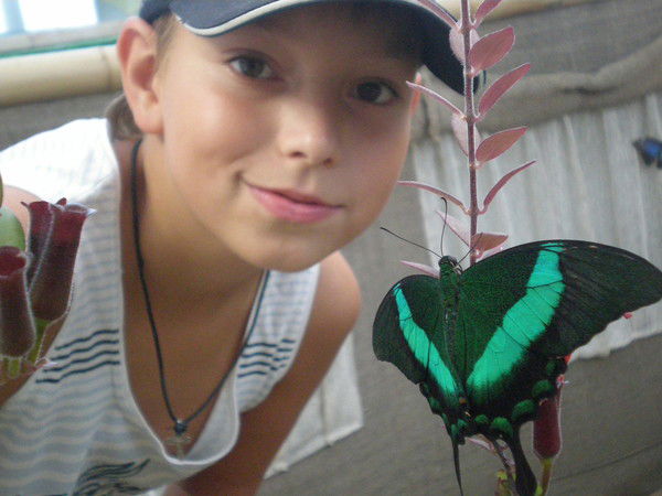 Александр Филиппов