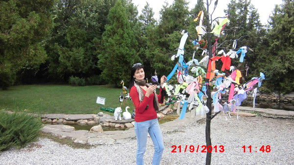 Ирина Сташевская