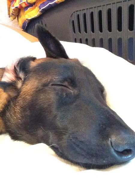 Натилия Артёмова