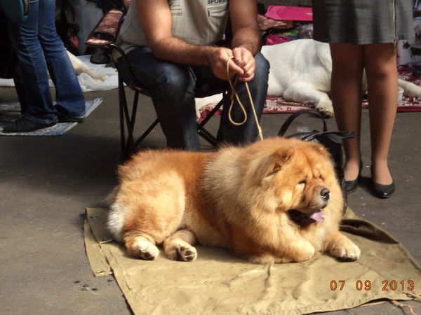 Марина Коршунова