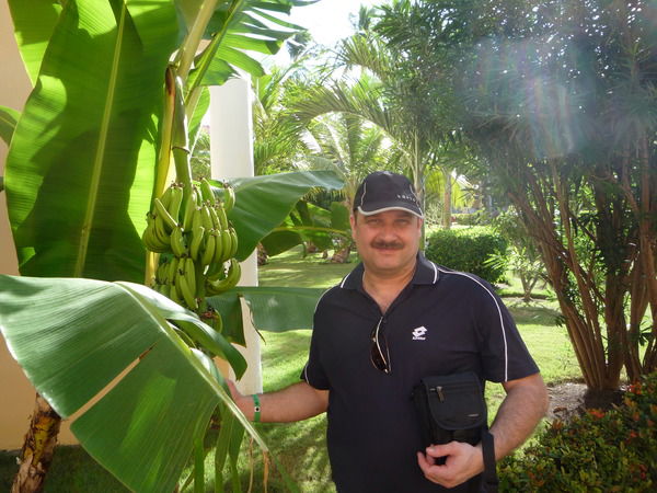 Александр Симаков