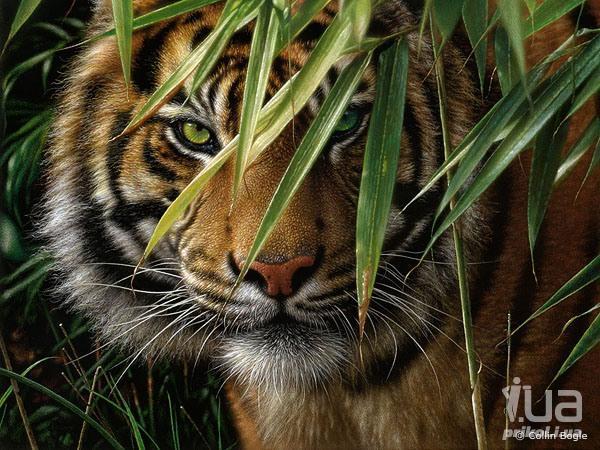 Федор Бобров