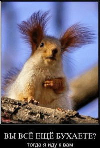 Максим Васильев