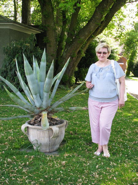 Ирина Комарова