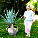 Ирина Комарова