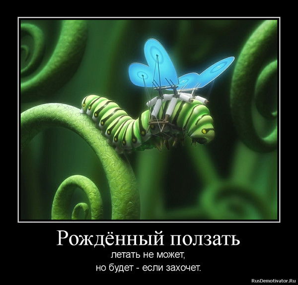 Наташа Карачик