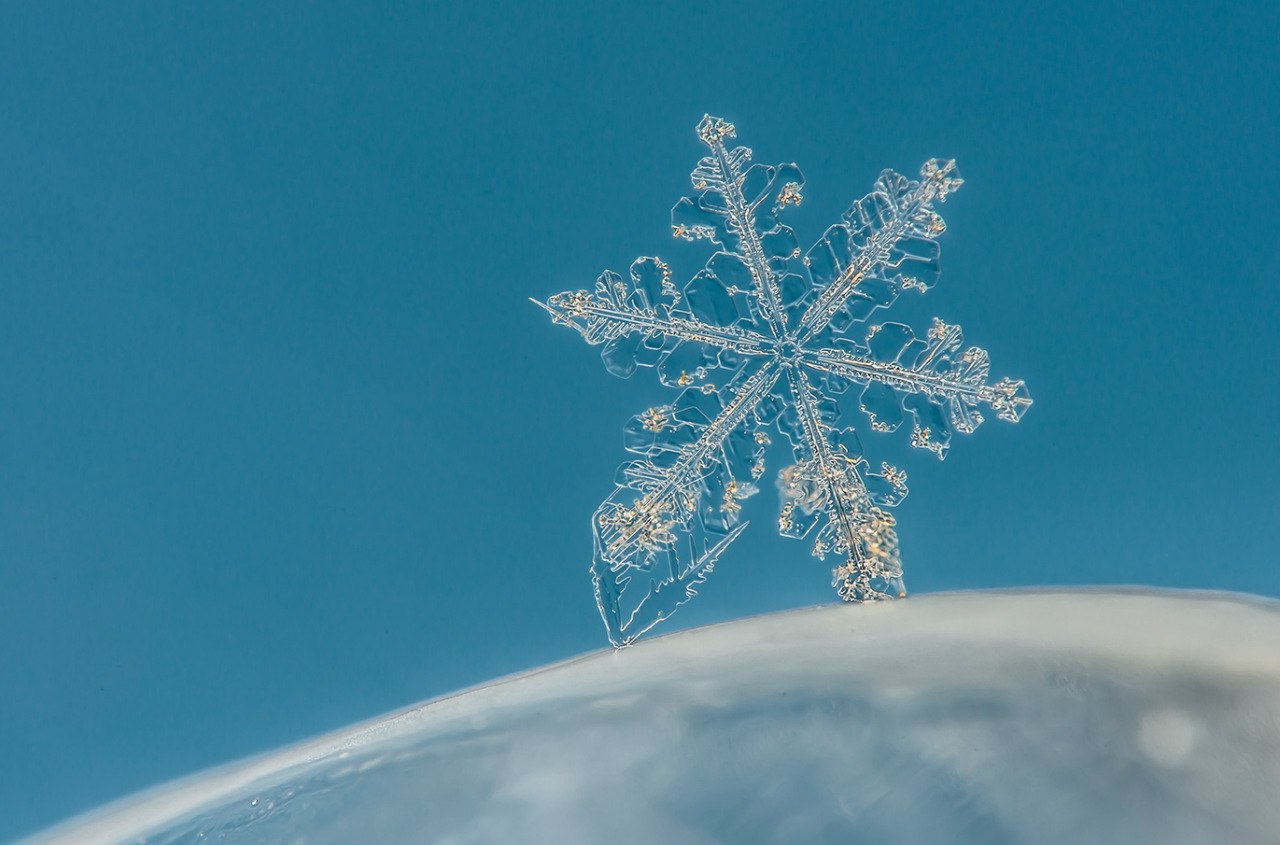 Виктор Юрьевич Шешунов