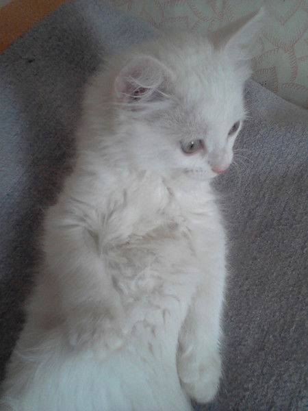 Павел Савинцев