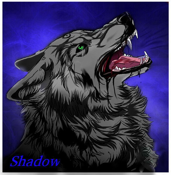 Волчица Shadow