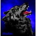 Волчица Shadow