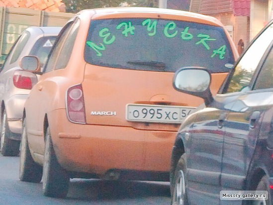 Елена Романова