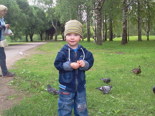 Владимир Гурьев