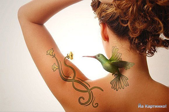 Елена Радзиевская