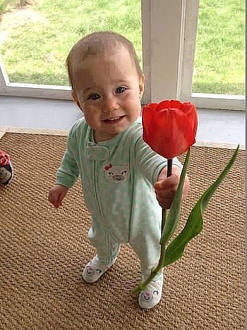 Семён Лебедев