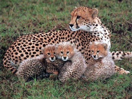 Бакыт Бейсембаева