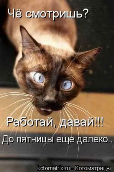 Антон Владимирович