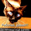 Антон Владимирович