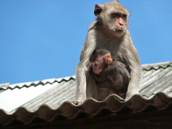 Марина Почуева