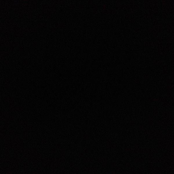 Антон Нокин