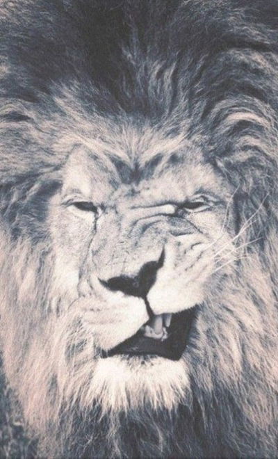 Vladimir Aleksandrovich