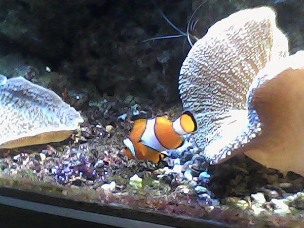 Татьяна Стрекалова