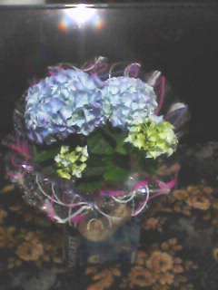 Валентина Рыбалко