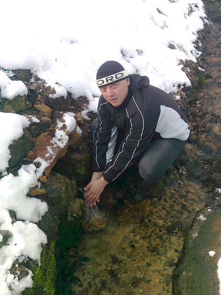 Серый Хвостиков